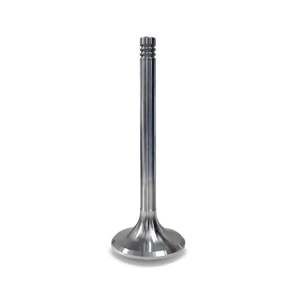 Впускной клапан WEICHAI WD615 1598