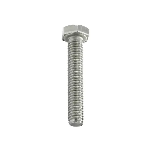 Screws 10X60