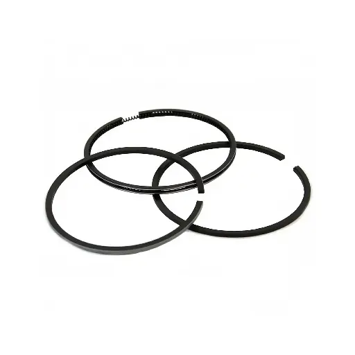 Piston ring Weifang R4105 