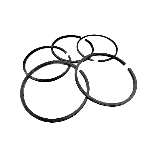 Ring  SX3314JR366 