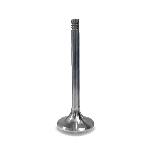 Intake valve WEICHAI WD615 1598